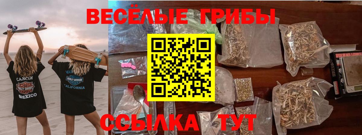 Галлюциногенные грибы ЛСД Егорьевск