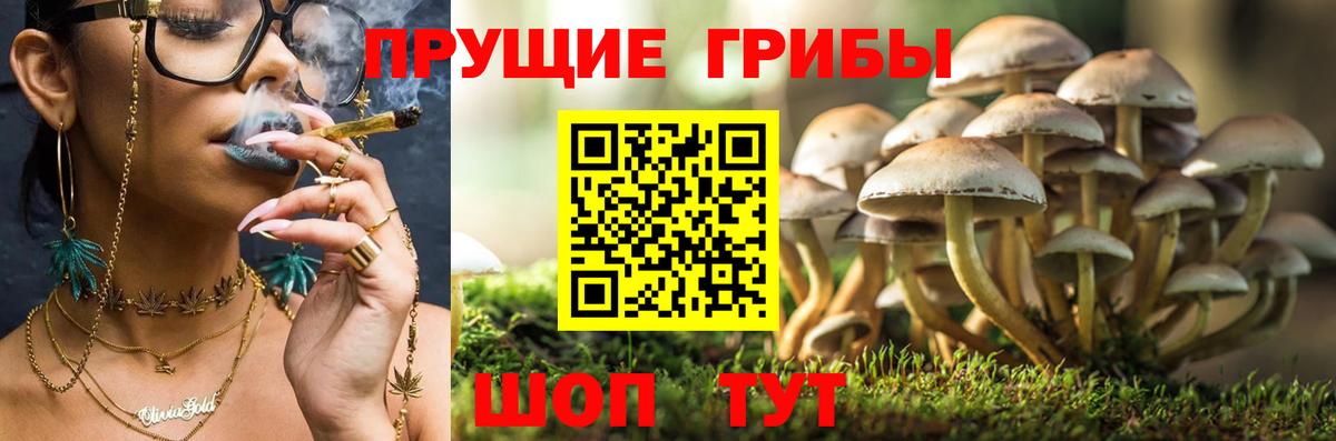 Галлюциногенные грибы мухоморы  Вход с VPN  Егорьевск 